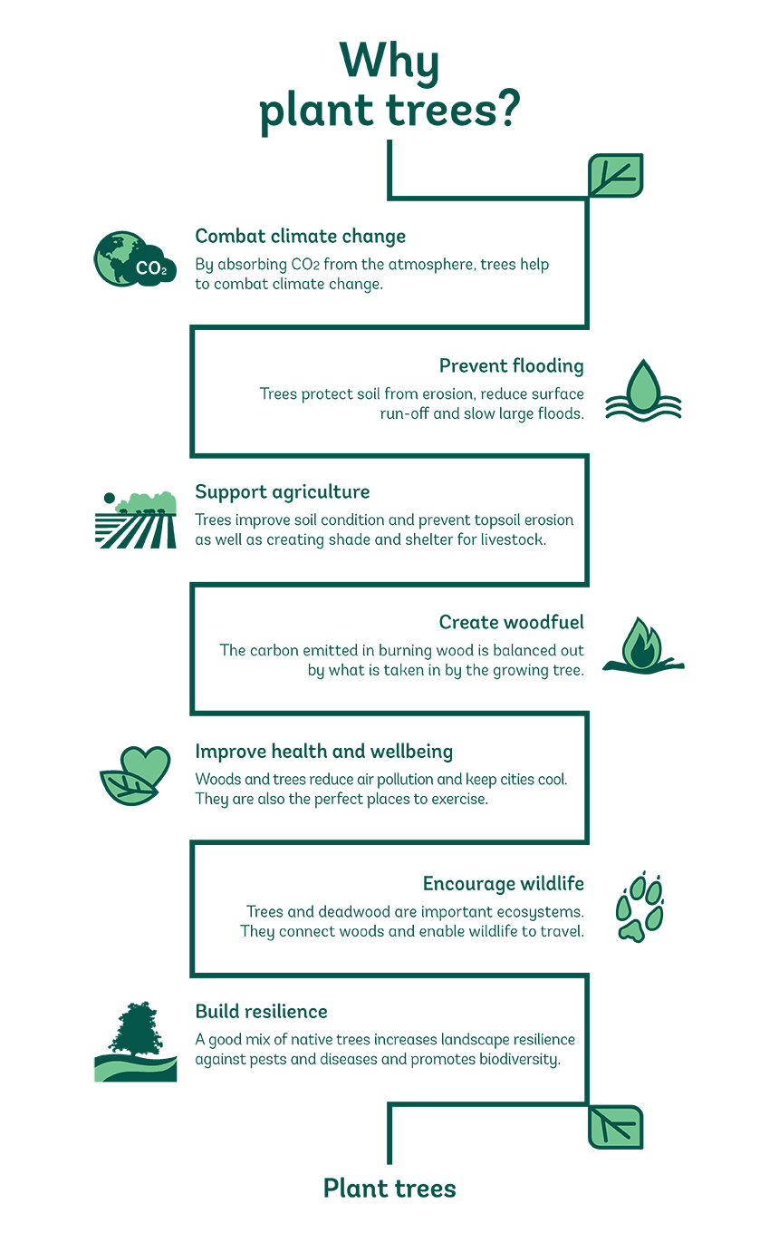 what is the importance of tree planting