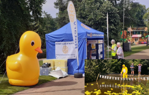 A large inflatable yellow duck stands beside a Rotary Club marquee at an outdoor event; small yellow ducks float in a stream nearby.